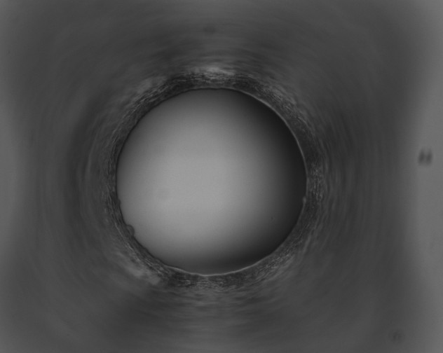 X0000091661009200708301434