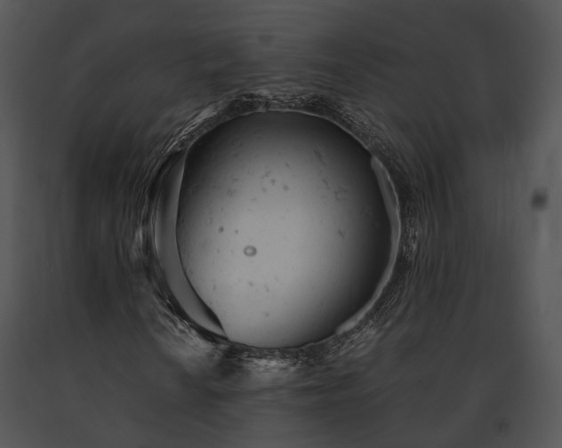 X0000091661010200708301434