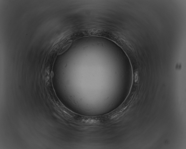 X0000091661011200708301434