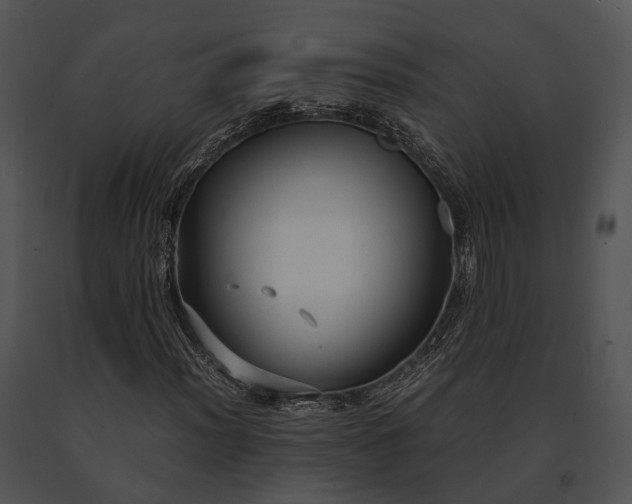 X0000091661012200708301434
