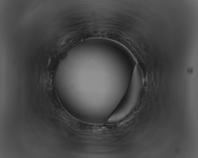 X0000091661013200708301434