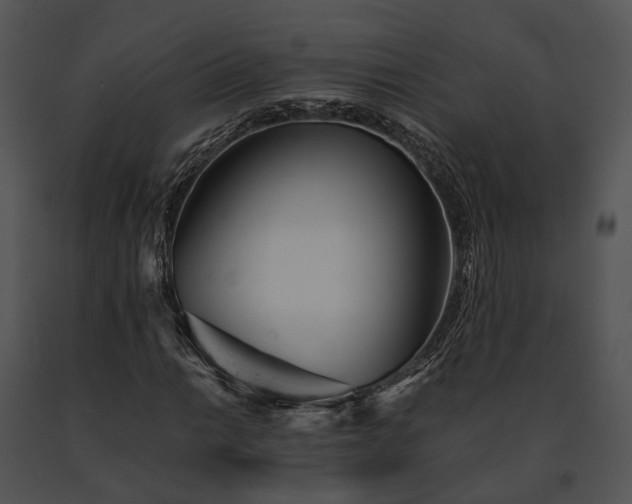 X0000091661014200708301434