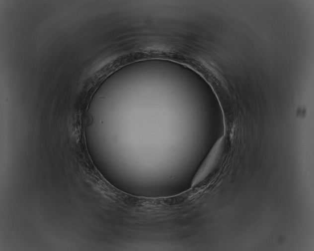 X0000091661015200708301434