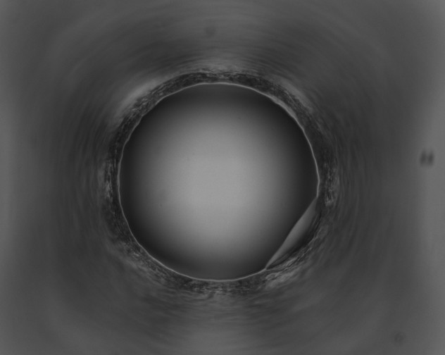 X0000091661016200708301434