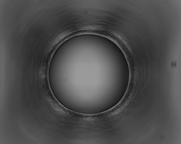 X0000091661017200708301434
