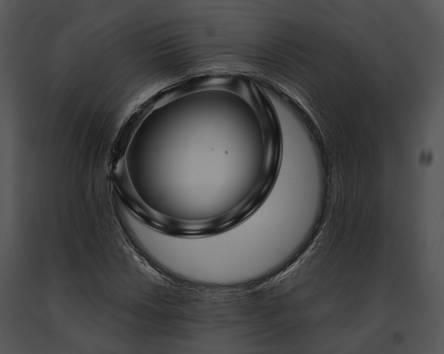 X0000091661018200708301434