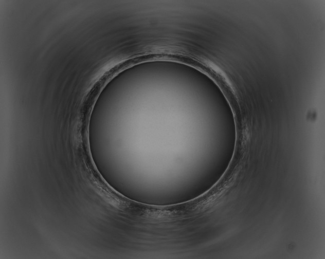 X0000091661019200708301434