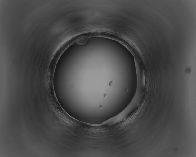 X0000091661021200708301434