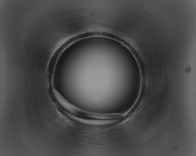 X0000091661022200708301434