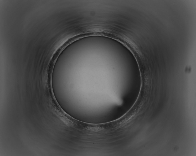 X0000091661023200708301434