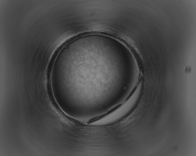X0000091661024200708301434