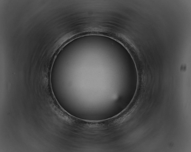 X0000091661025200708301434