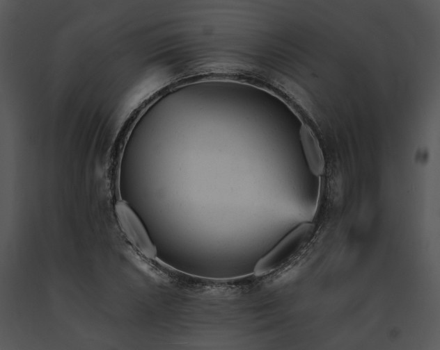 X0000091661026200708301434