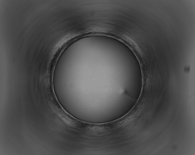 X0000091661027200708301434