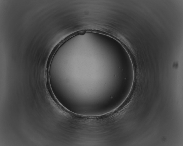 X0000091661028200708301434