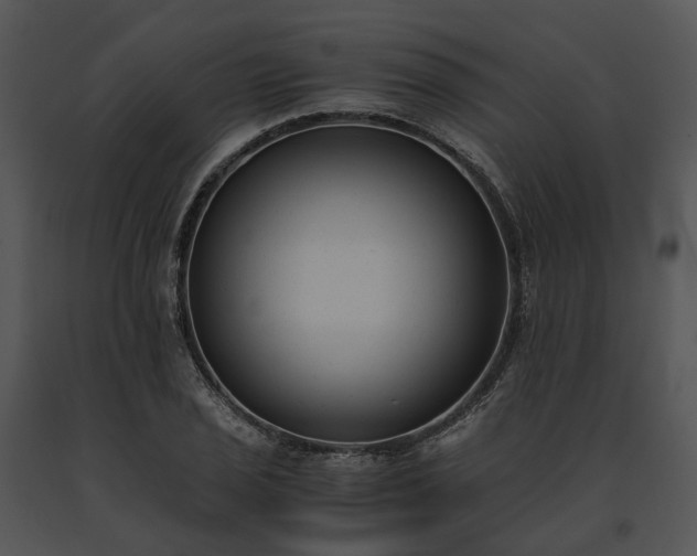 X0000091661029200708301434