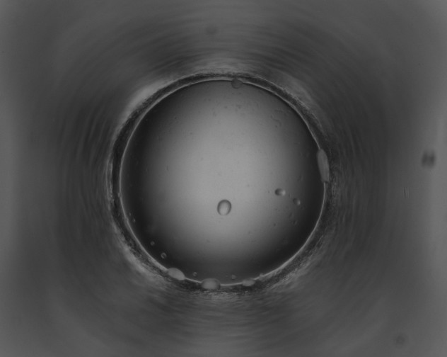 X0000091661030200708301434