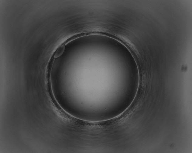 X0000091661031200708301434