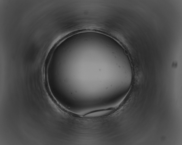 X0000091661032200708301434