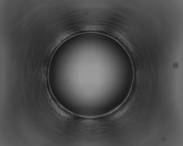 X0000091661033200708301434
