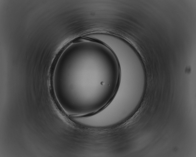 X0000091661034200708301434