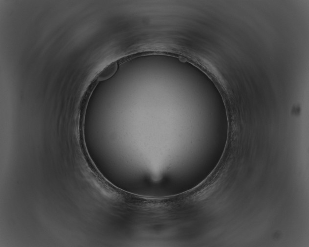 X0000091661035200708301434