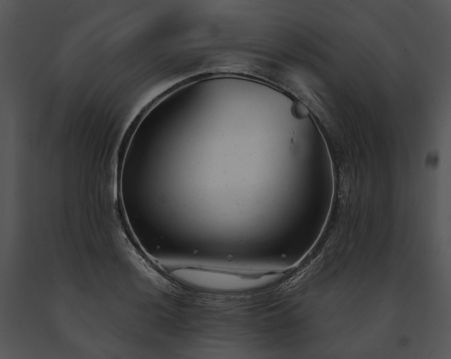 X0000091661036200708301434