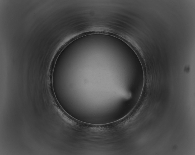 X0000091661037200708301434