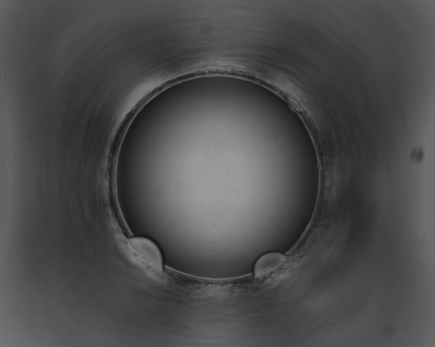 X0000091661038200708301434