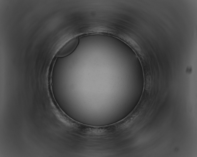 X0000091661039200708301434