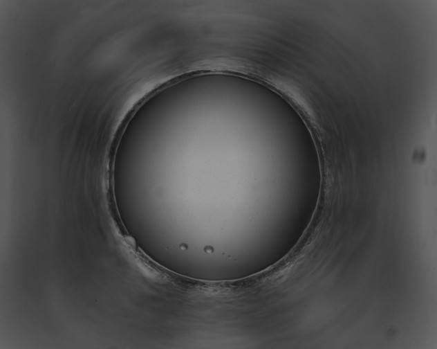 X0000091661040200708301434