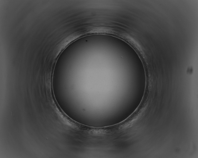 X0000091661041200708301434