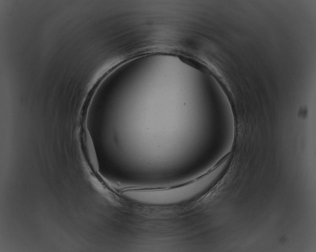X0000091661042200708301434