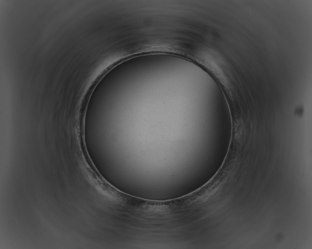 X0000091661043200708301434
