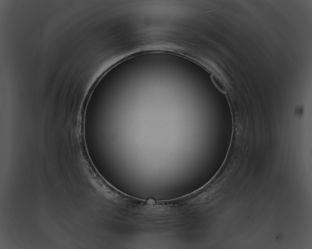 X0000091661044200708301435