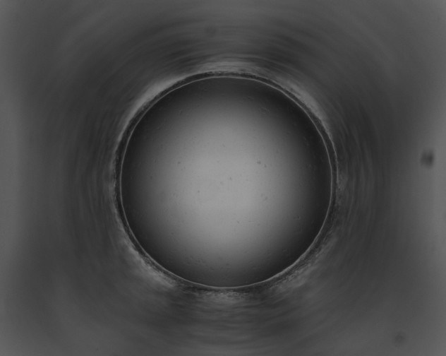 X0000091661045200708301435