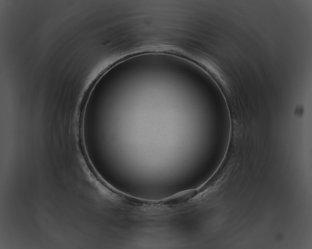 X0000091661046200708301435