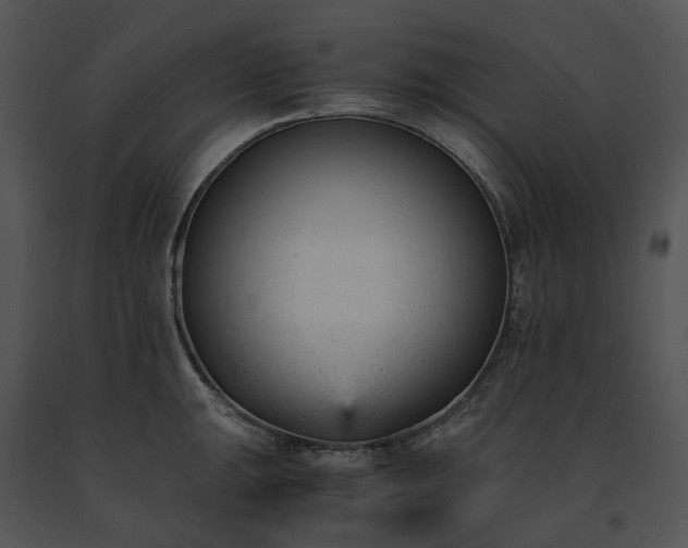 X0000091661047200708301435