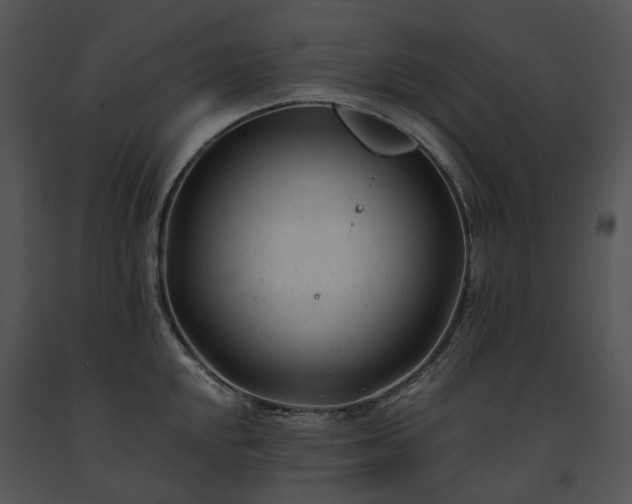 X0000091661048200708301435