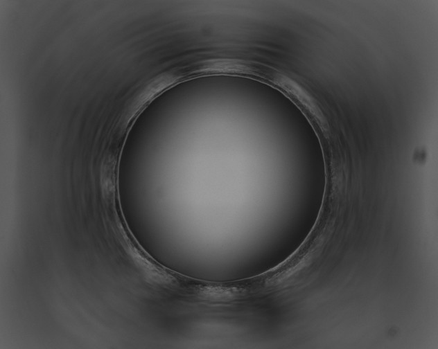 X0000091661049200708301435