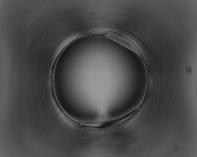 X0000091661050200708301435