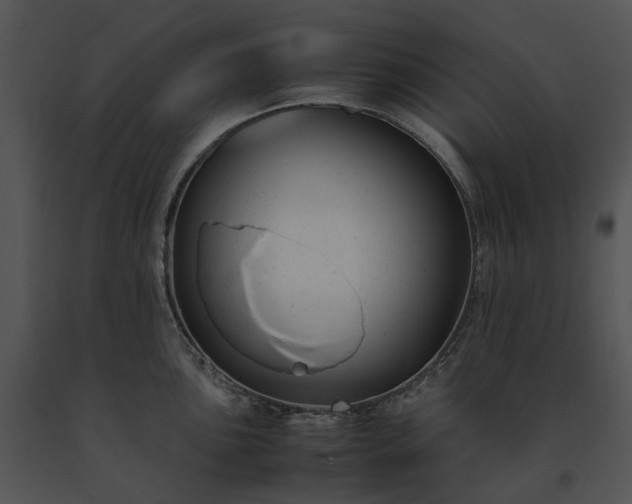 X0000091661051200708301435