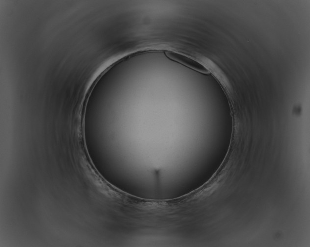 X0000091661052200708301435