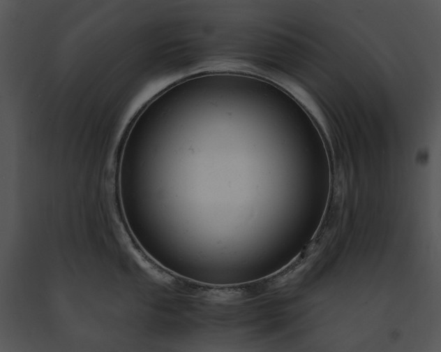 X0000091661053200708301435