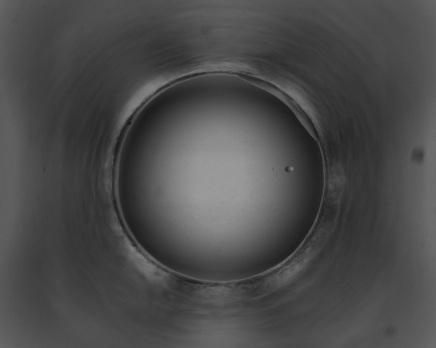 X0000091661054200708301435