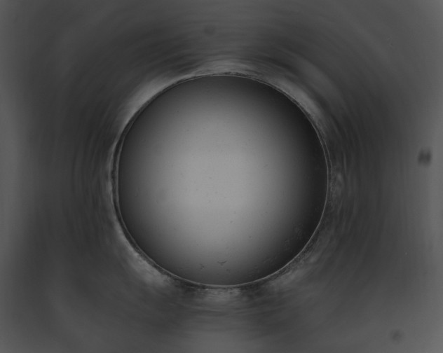 X0000091661055200708301435