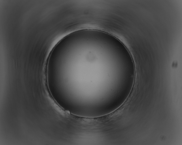 X0000091661056200708301435