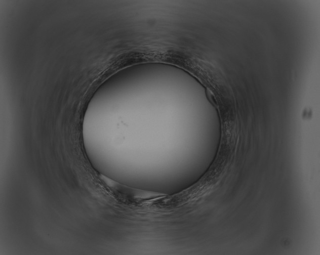 X0000091661057200708301434