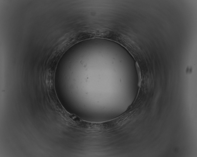 X0000091661058200708301434