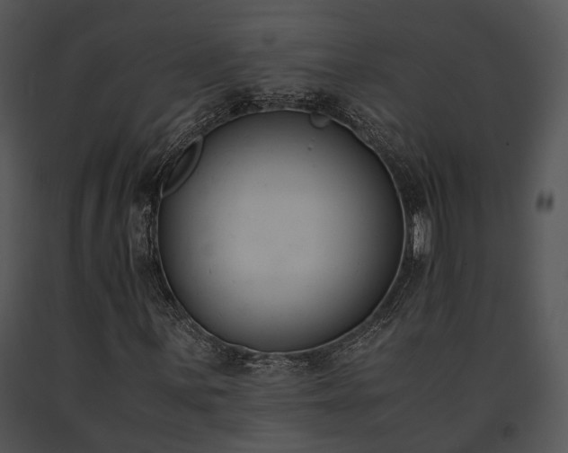 X0000091661059200708301434